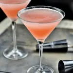 Guava Watermelon Martini