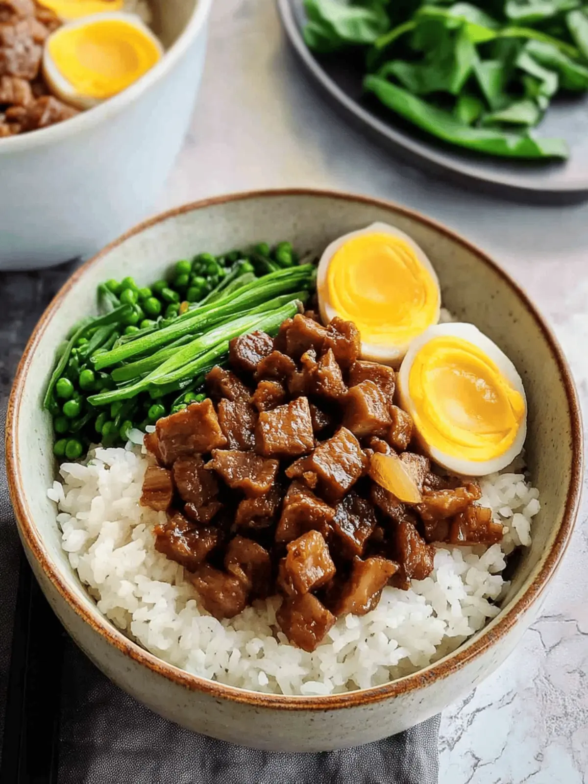 Taiwanese Braised Pork Rice