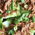 Slow Cooker Asian Pulled Pork