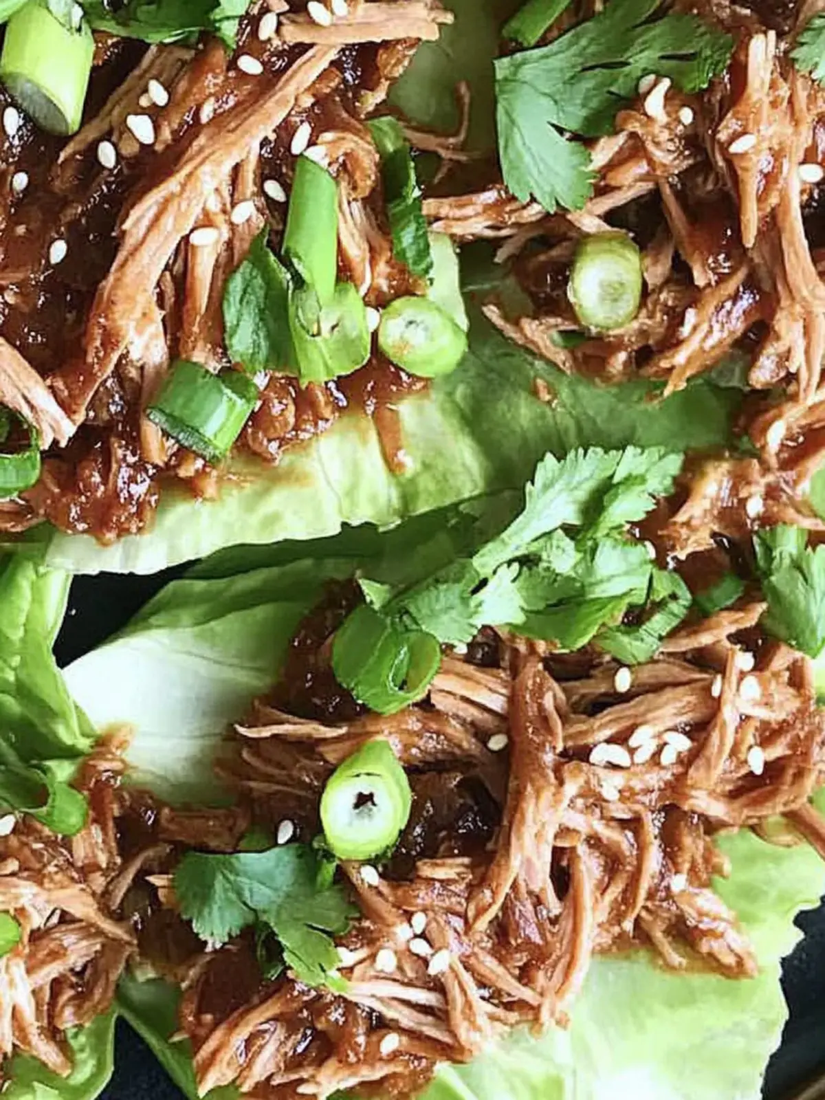 Slow Cooker Asian Pulled Pork