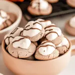 Delightful Hot Cocoa Meringue Cookies for Cozy Moments Hot Cocoa Meringue Cookies